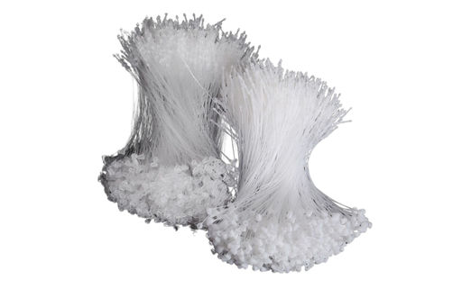 สายเอ็นคล้องป้าย